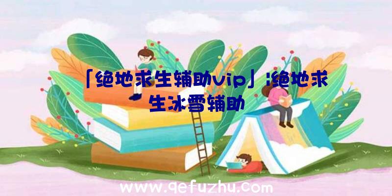 「绝地求生辅助vip」|绝地求生冰雪辅助